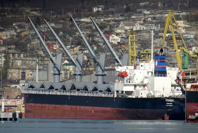 PANDA Bulk Carrier IMO 9288540 photo 2