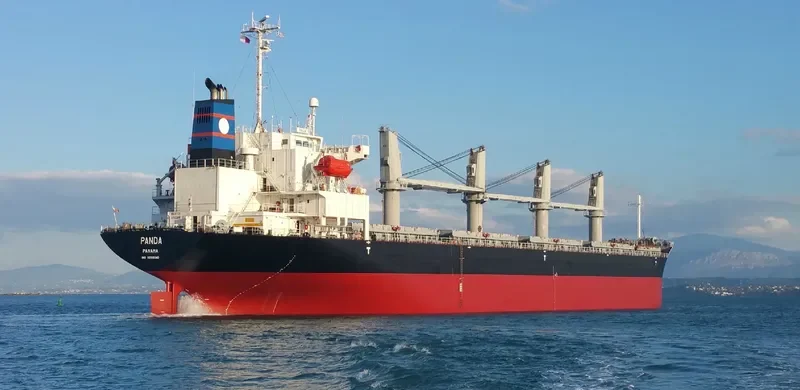 PANDA Bulk Carrier IMO 9288540 photo 3