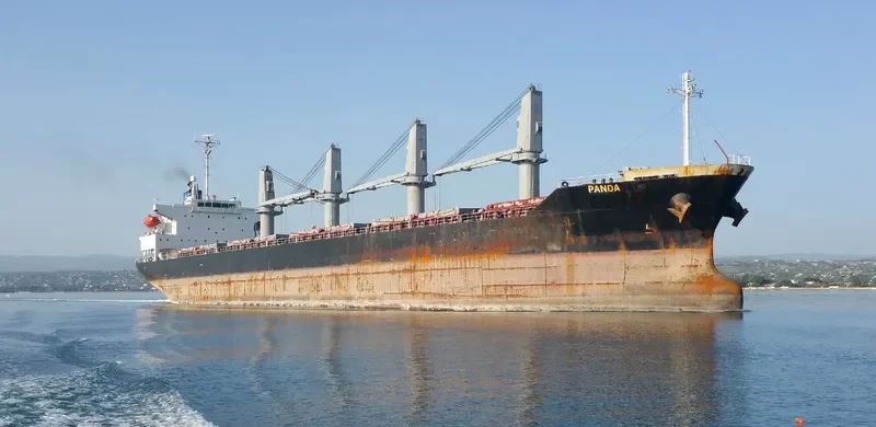 PANDA Bulk Carrier IMO 9288540 photo 4