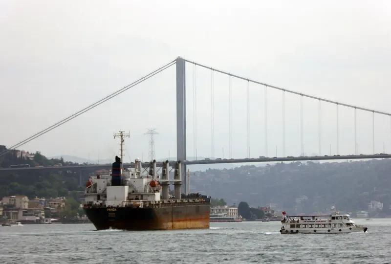 PANDA Bulk Carrier IMO 9288540 photo 6