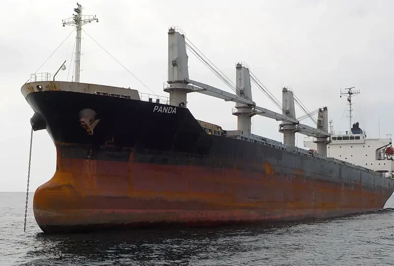 PANDA Bulk Carrier IMO 9288540 photo 7