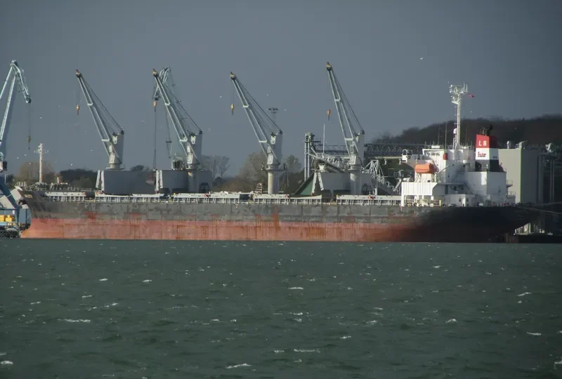 PANDA Bulk Carrier IMO 9288540 photo 8