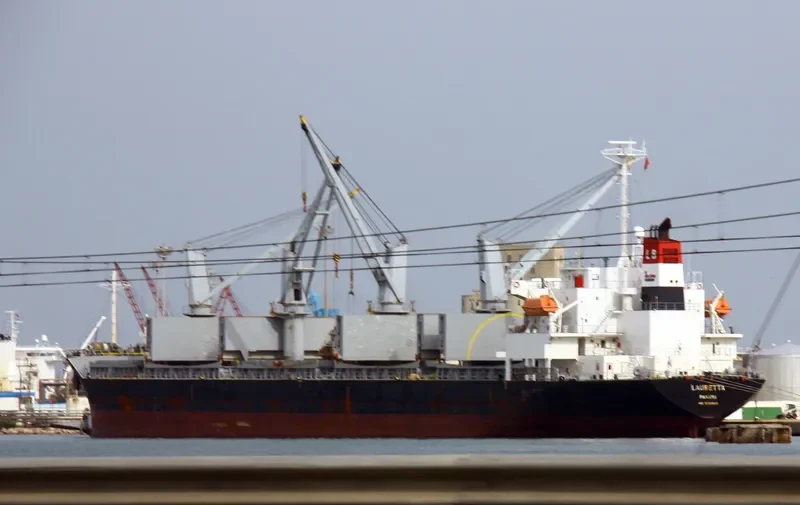 PANDA Bulk Carrier IMO 9288540 photo 9