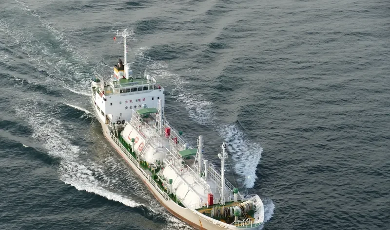 HAKUSEI MARU NO.25 General Cargo IMO 9288629 photo 7