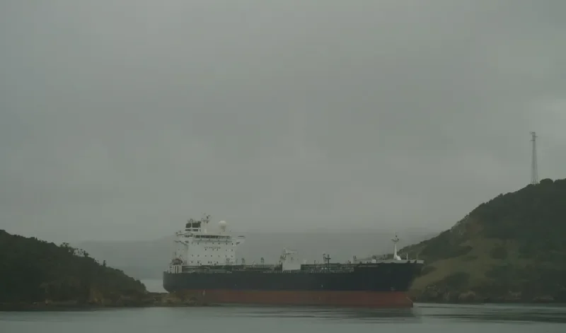 SUNNY VICTORY Tanker IMO 9288760 photo 3