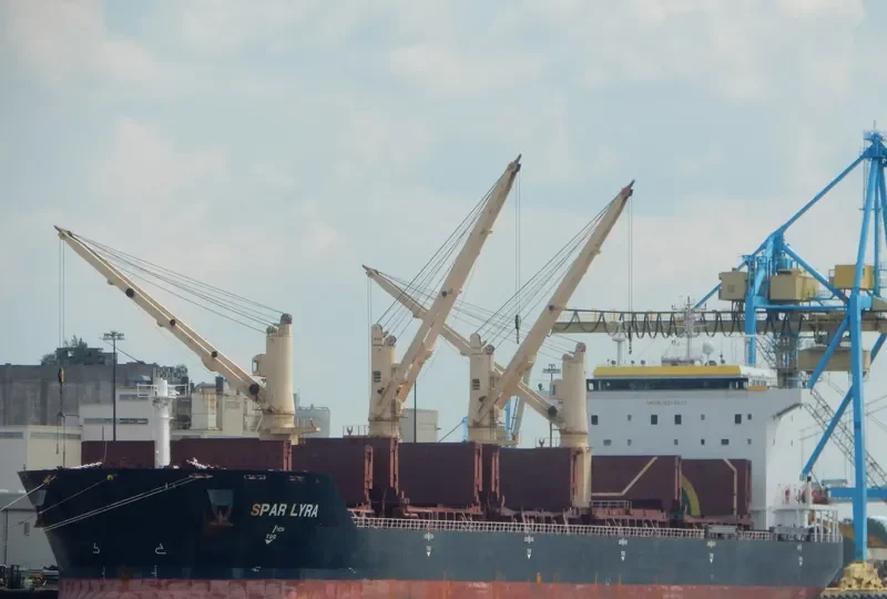 SPAR LYRA Bulk Carrier IMO 9289013 photo 2