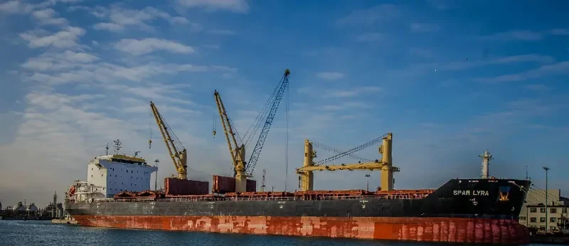 SPAR LYRA Bulk Carrier IMO 9289013 photo 3