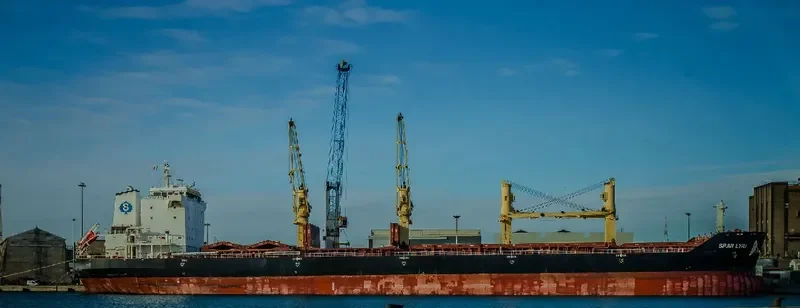 SPAR LYRA Bulk Carrier IMO 9289013 photo 4