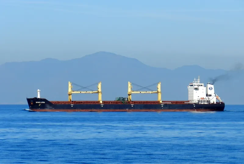 SPAR LYRA Bulk Carrier IMO 9289013 photo 5