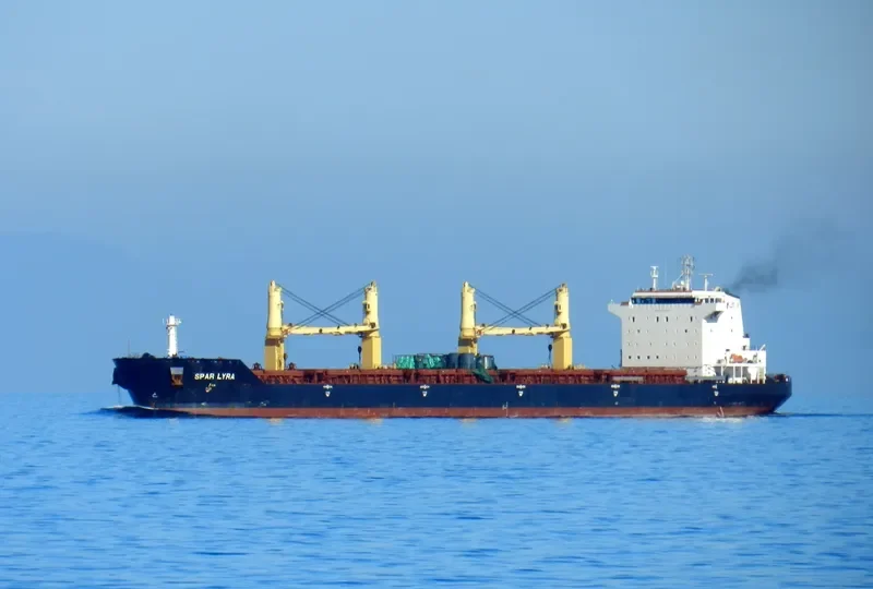 SPAR LYRA Bulk Carrier IMO 9289013 photo 6