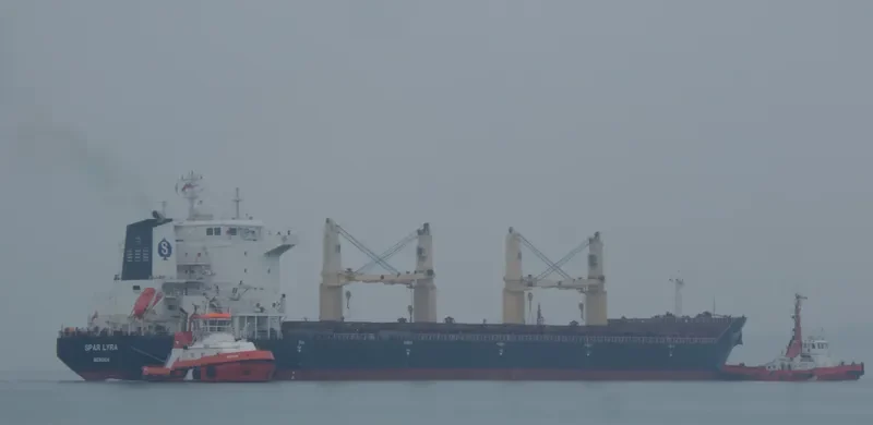 SPAR LYRA Bulk Carrier IMO 9289013 photo 7