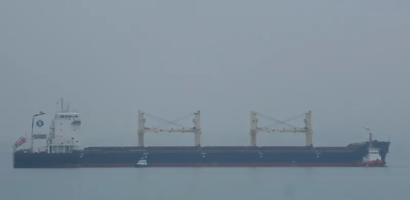 SPAR LYRA Bulk Carrier IMO 9289013 photo 8