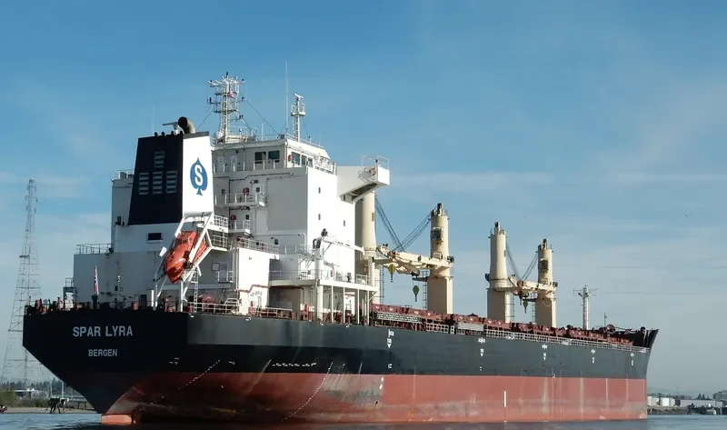 SPAR LYRA Bulk Carrier IMO 9289013 photo 9
