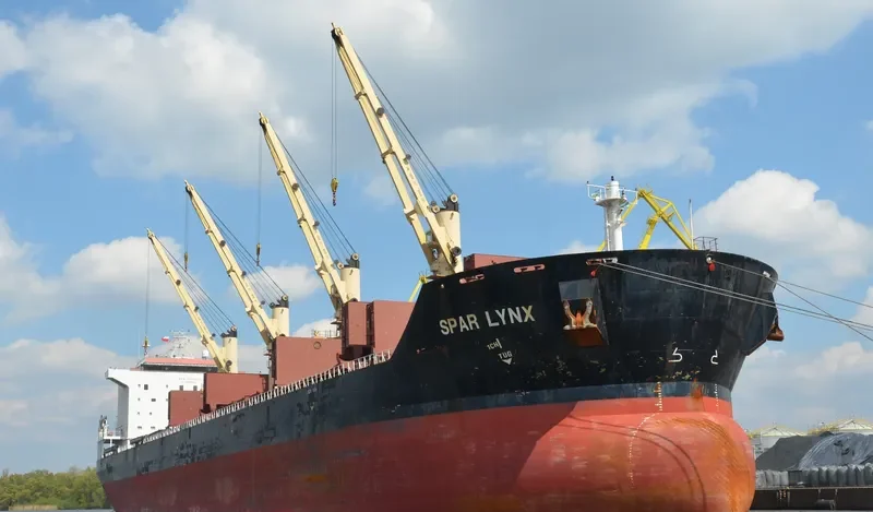 SPAR LYNX Bulk Carrier IMO 9289025 photo 3