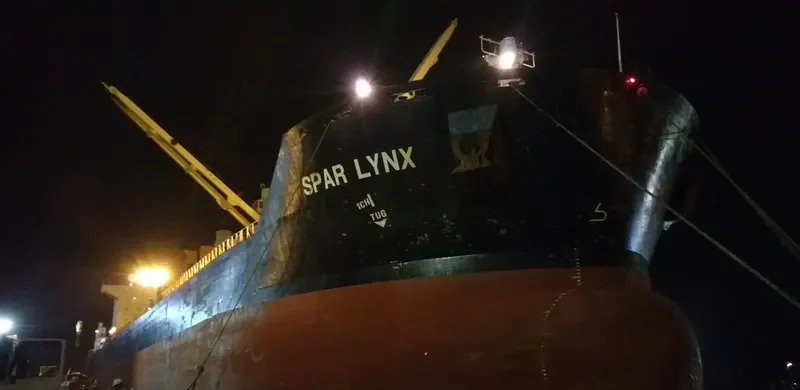 SPAR LYNX Bulk Carrier IMO 9289025 photo 5