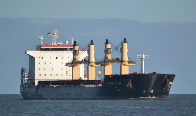 SPAR LYNX Bulk Carrier IMO 9289025 photo 7