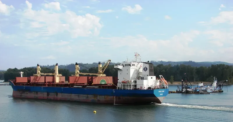 SPAR LYNX Bulk Carrier IMO 9289025 photo 9