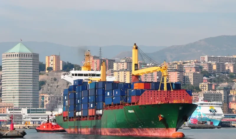 PINARA Container Ship IMO 9289063 photo 2