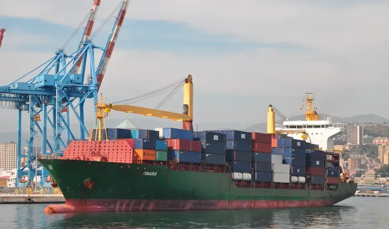 PINARA Container Ship IMO 9289063 photo 3