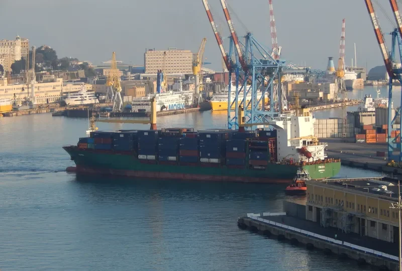 PINARA Container Ship IMO 9289063 photo 5