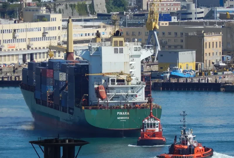 PINARA Container Ship IMO 9289063 photo 6