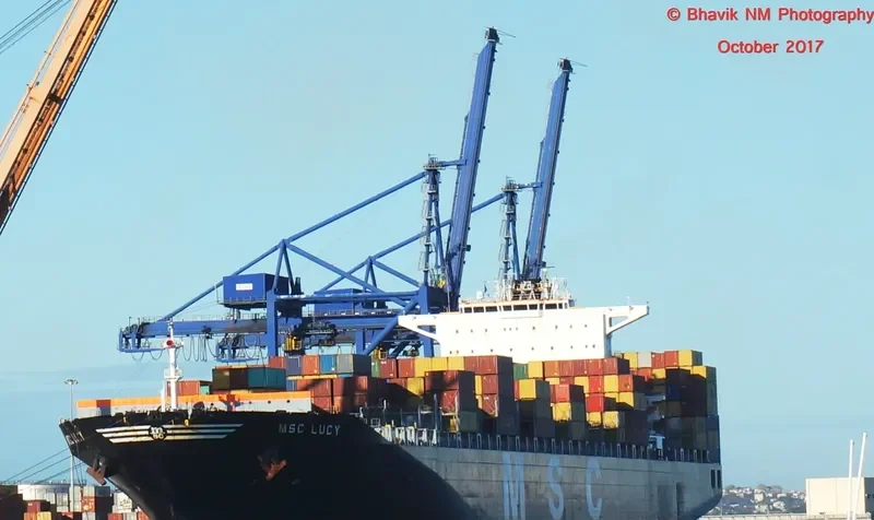 MSC LUCY Container Ship IMO 9289104