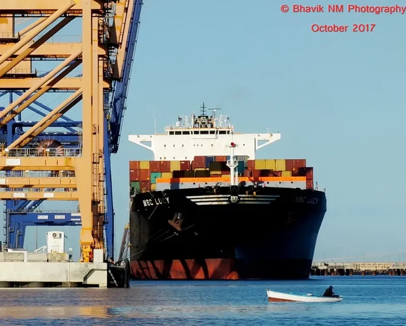 MSC LUCY Container Ship IMO 9289104 photo 2