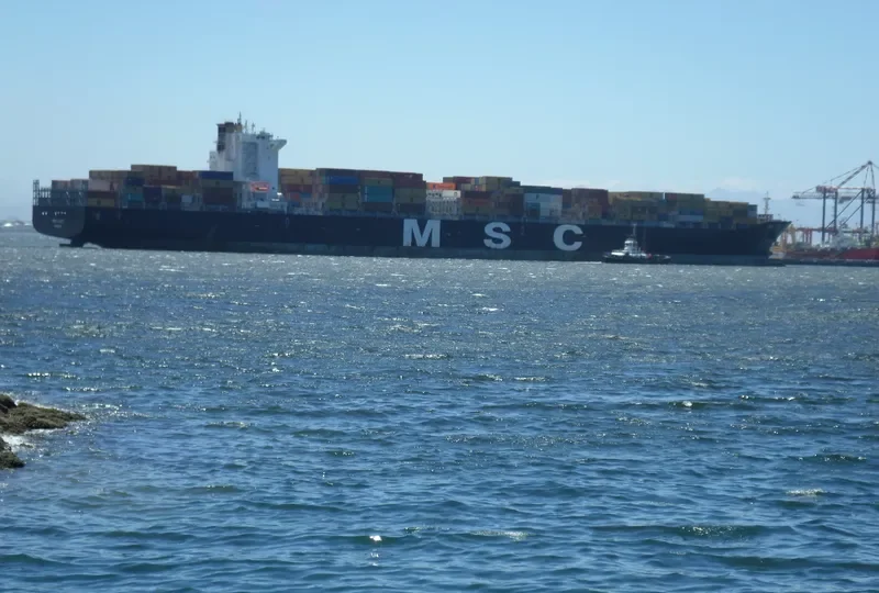 MSC LUCY Container Ship IMO 9289104 photo 5