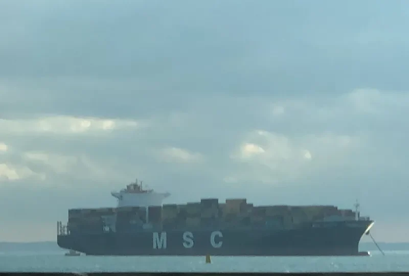 MSC MAEVA Container Ship IMO 9289128