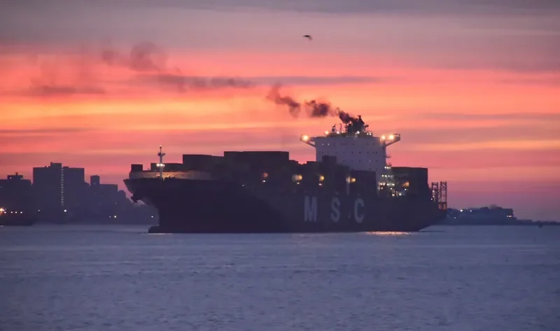 MSC MAEVA Container Ship IMO 9289128 photo 2