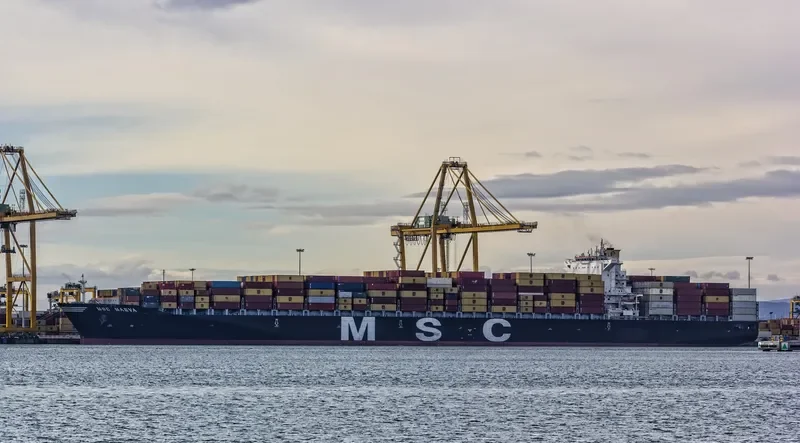 MSC MAEVA Container Ship IMO 9289128 photo 3