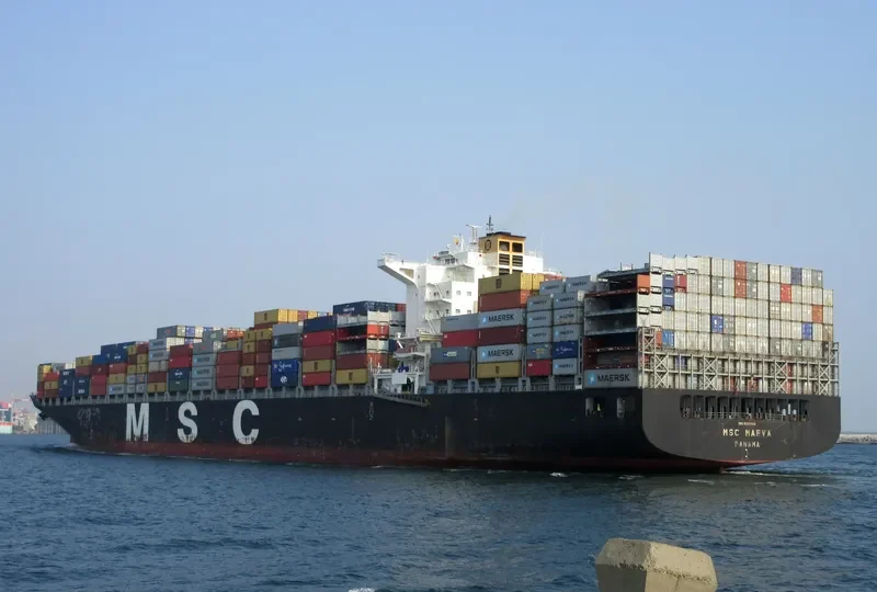 MSC MAEVA Container Ship IMO 9289128 photo 4