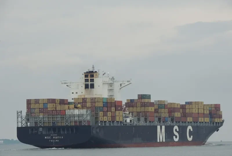 MSC MAEVA Container Ship IMO 9289128 photo 6