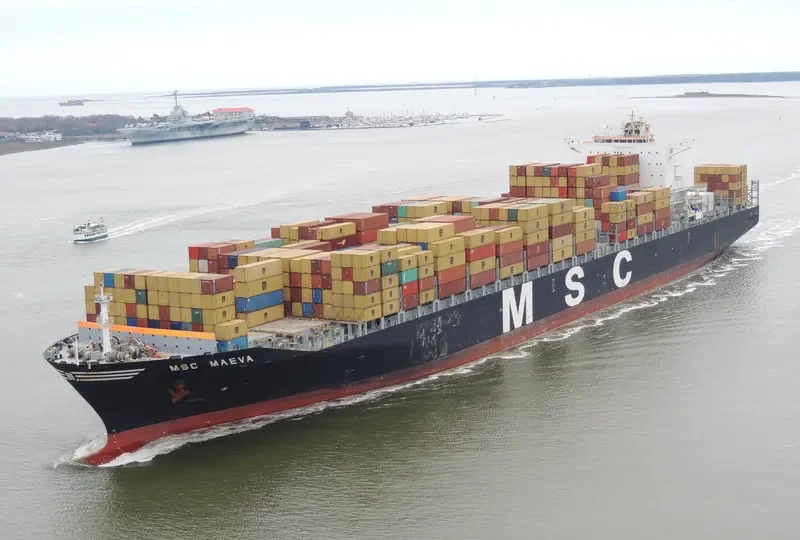 MSC MAEVA Container Ship IMO 9289128 photo 8