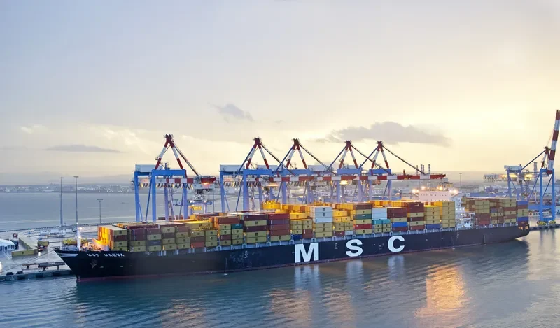 MSC MAEVA Container Ship IMO 9289128 photo 9