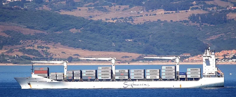 SAFMARINE CAMEROUN Container Ship IMO 9289180 photo 8