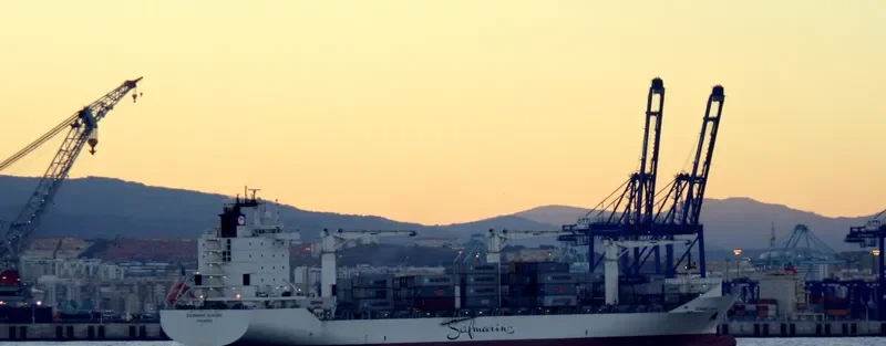 MAERSK SARATOGA Container Ship IMO 9289207