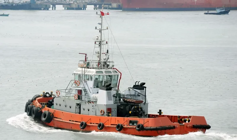 NEPTUNO General Cargo IMO 9289245 photo 8