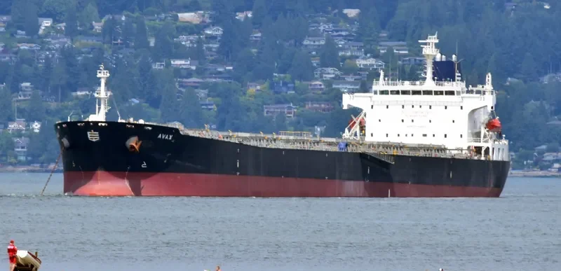 AVAX Bulk Carrier IMO 9289312 photo 7