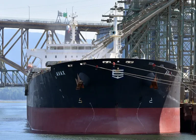 AVAX Bulk Carrier IMO 9289312 photo 9