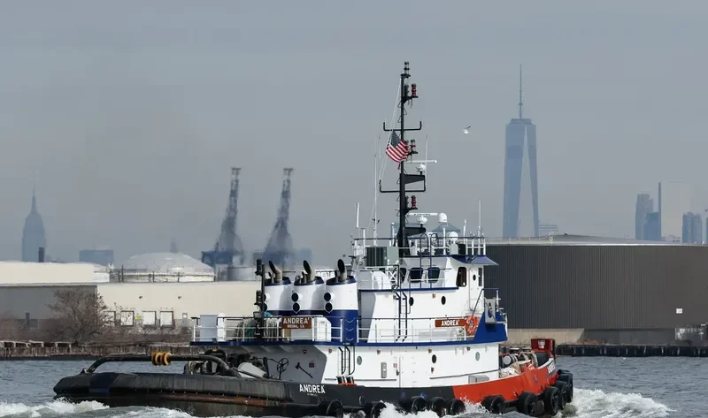 ANDREA ONORATO General Cargo IMO 9289427 photo 5