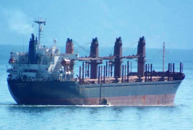 ASOMATOS Bulk Carrier IMO 9289855 photo 2