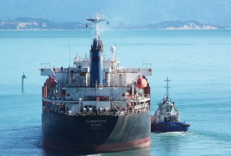 ASOMATOS Bulk Carrier IMO 9289855 photo 4