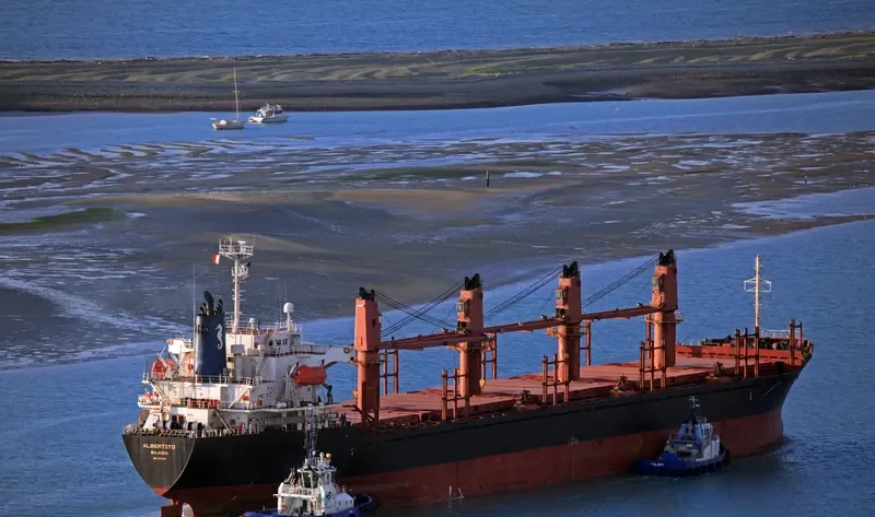 ASOMATOS Bulk Carrier IMO 9289855 photo 5