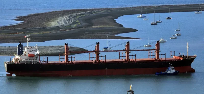ASOMATOS Bulk Carrier IMO 9289855 photo 6