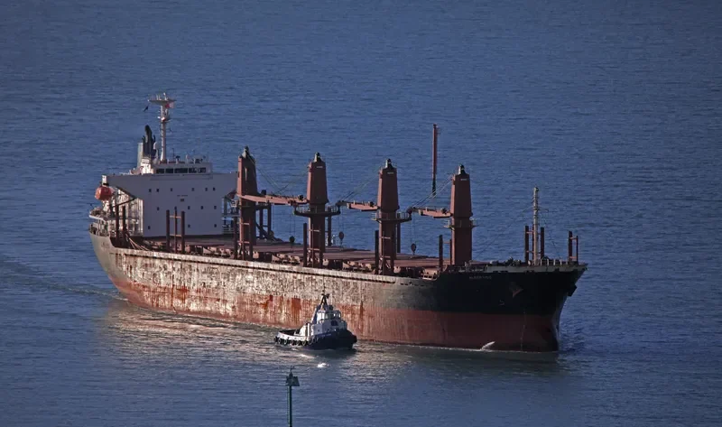 ASOMATOS Bulk Carrier IMO 9289855 photo 8