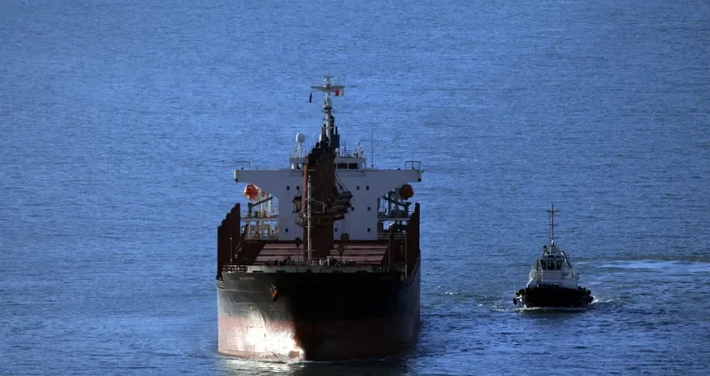 ASOMATOS Bulk Carrier IMO 9289855 photo 9
