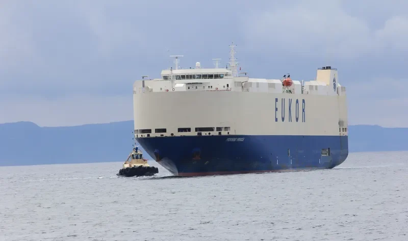 LAKE TAUPO General Cargo IMO 9289908 photo 5