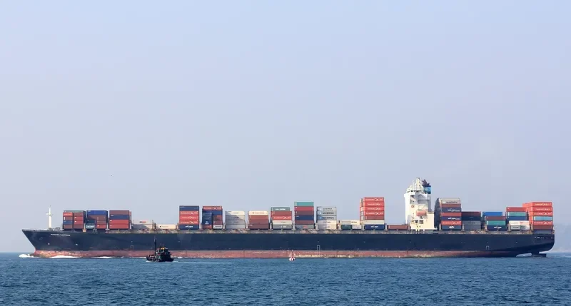 MAERSK SANTANA Container Ship IMO 9289934 photo 4