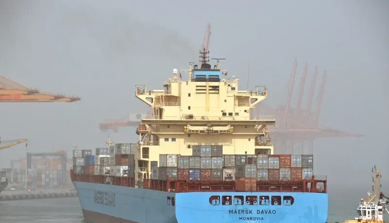 MSC MANZANILLO Container Ship IMO 9289960